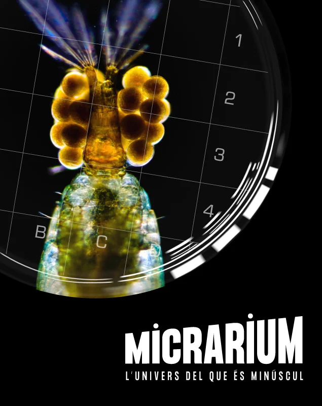 Taller Micràrium en Obert